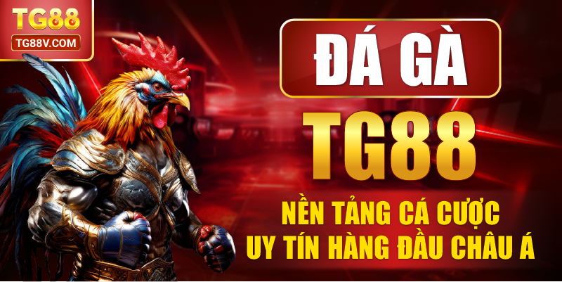 Đá Gà TG88 Nền Tảng Cá Cược Uy Tín Hàng Đầu Châu Á